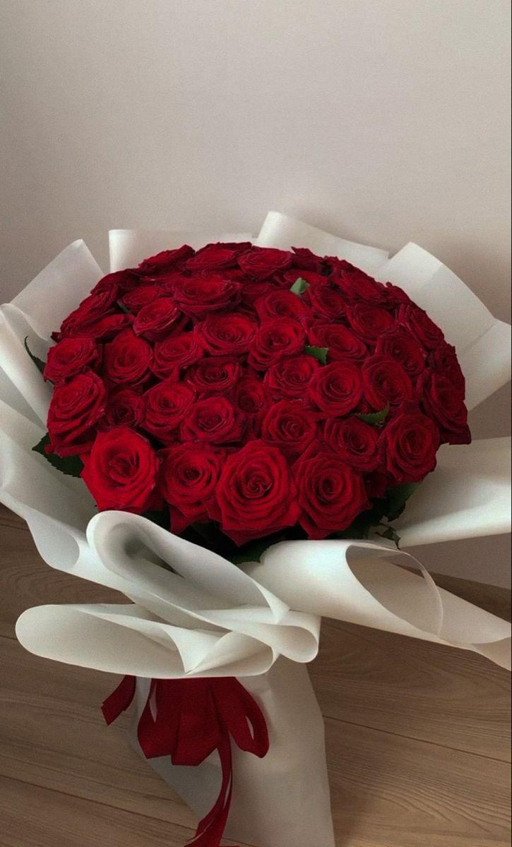 Stargazer's Delight Celestial Blooms